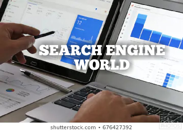 The search engine world
