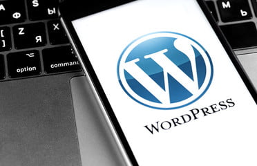 new wordpress version update