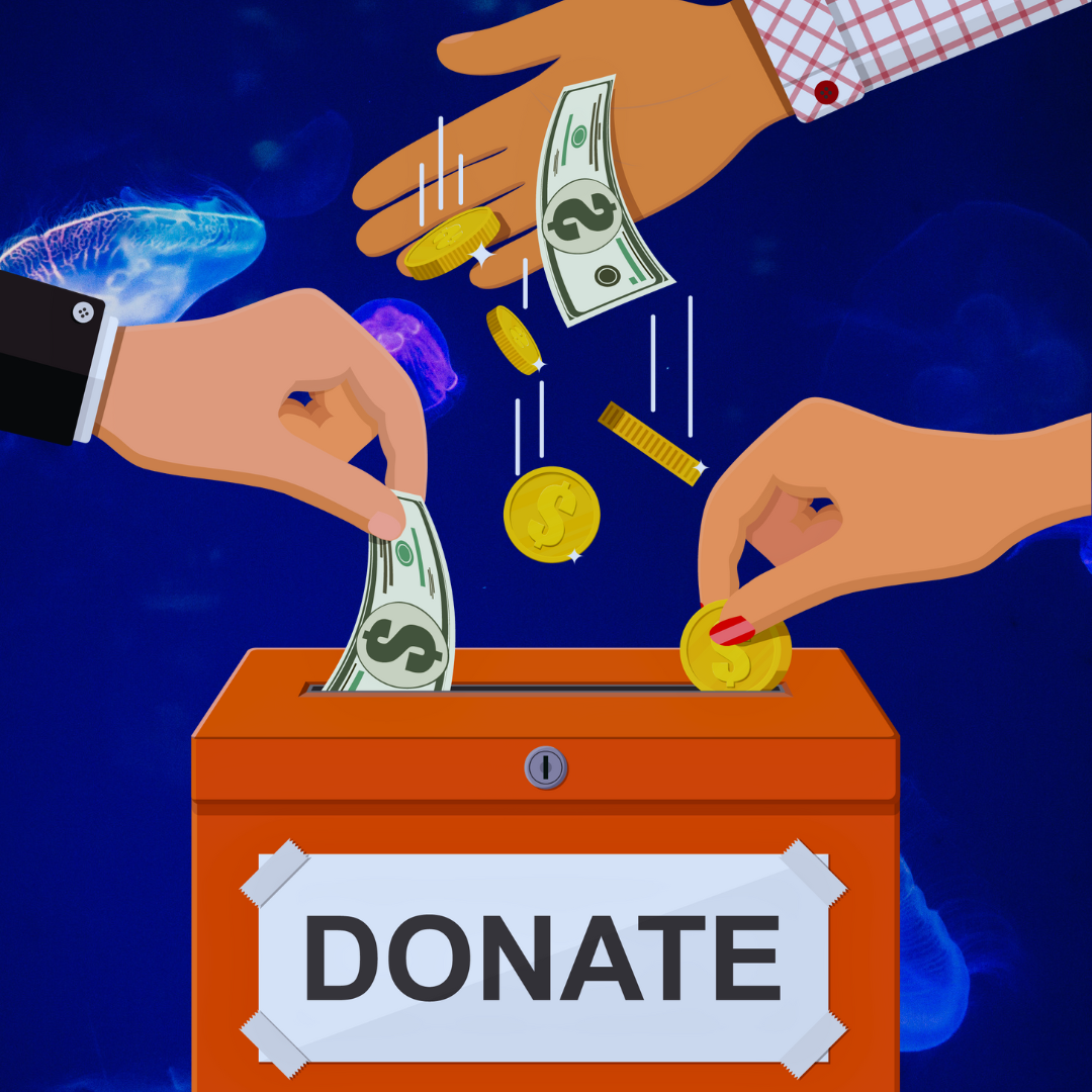 How to collect a donation for digital projects